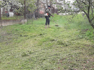 Услуги по стрижке травы, уходу за газоном и очистке участков! foto 9