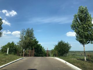 Vanzare lot 3 ha Lacul Ghidighici! Traseu Chisinau-Ungheni foto 3