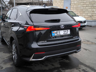 Lexus NX Series foto 8