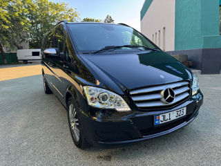 Mercedes Viano, 2011 г.