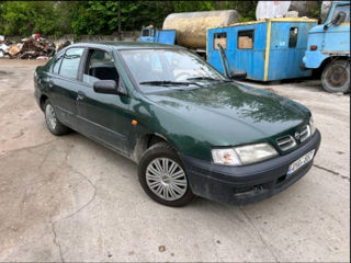 Nissan Primera foto 7