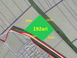 sat. Coloniţa, Teren, Agricol, I linie drum asfaltat foto 2