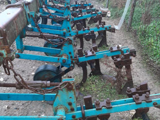 Cultivator foto 2