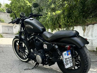 Harley - Davidson Davidson IRON 883 foto 7