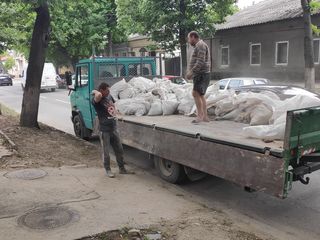 Вывоз мусора  evacuarea gunoiului foto 8