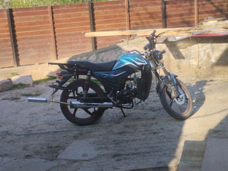 Alpha Moto Andes foto 4