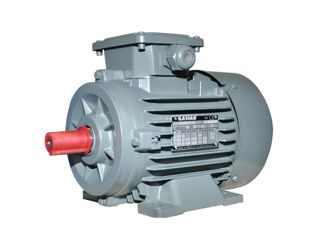 Motor electric AGM 100 L 2 Trifazat 3 kW 230 - 400 V 3000 rot/min Talpă Gamak