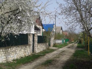 Возле Балабанешт дача120м2 евроремонт, бассеин, сауна, автономное 12соток foto 10