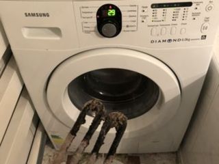 Reparatia Aeg, Bosh, Samsung,Ariston, Lg, Beko, Privileg, Miele, Indesit