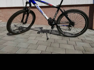 Bottecchia FX510