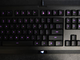 Клавиатура Razer Cynosa Lite 100% foto 7