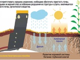 Глубокоразрыхлители foto 6