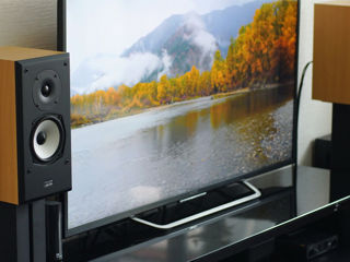 Acoustic Energy Aegis EVO One monitors / MADE in UK foto 2