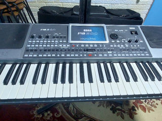 KORG PA 900