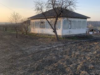 Vind casa in satul Glinjeni r.Falesti foto 2