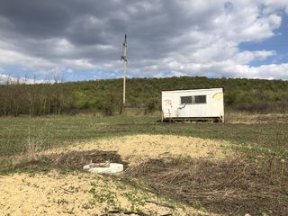 Teren agricol 3,7 ha,   mun. Chisinau, 4 km, linga s.  Bacioi. Investitia corecta a banilor DVS foto 4