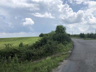 se vinde teren agricol 324 Sote Colonita prima linie  7KM de la Ciocana. Direct de la propiietar foto 4