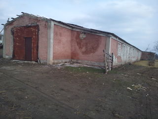 Construcții, r-nul Ocnița, sat. Grinăuți-Moldova foto 3