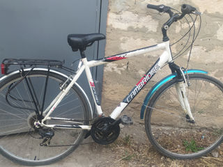 Shimano