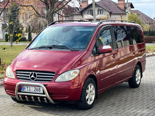 Mercedes Viano foto 3