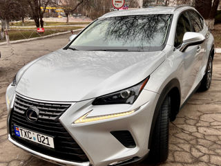 Lexus NX Series