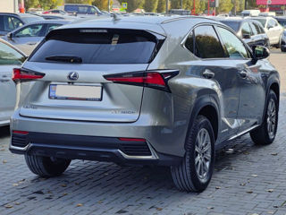 Lexus NX Series foto 3