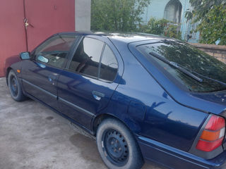 Nissan Primera foto 9