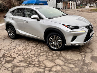 Lexus NX Series