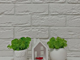Obiecte de decor pentru casa si birou.Ghivece,vaze,suvenire.Topiary.Горшки,кашпо и сувениры. foto 20