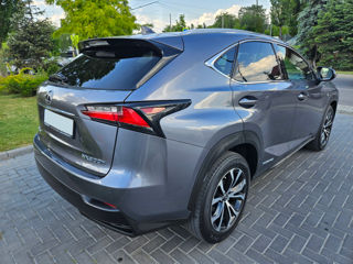 Lexus NX Series foto 6