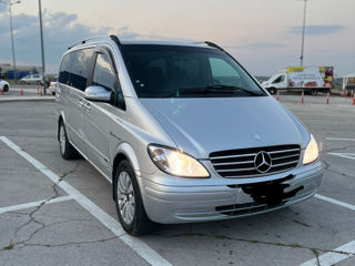 Mercedes Viano foto 3