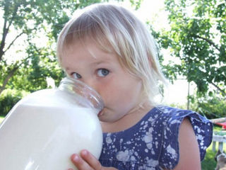 Lapte si brinza de capra de rasa 40 lei lapte  130 brinza foto 2