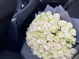 101 trandafiri albi doar 999  lei foto 3