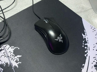 Mouse Razer Deathadder essential foto 1