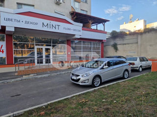 Chirie! Spațiu comercial, reparație euro, Râșcani, 2250 €