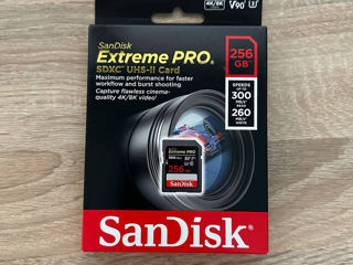 SanDisk 256GB Extreme PRO UHS-II SDXC card memorie