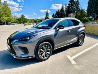 Lexus NX Series foto 6