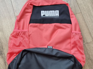 Puma nou original