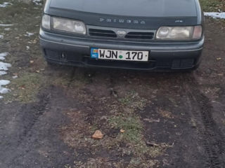 Nissan Primera foto 4