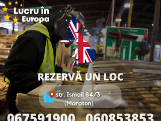 2300€ / Germania / Feliere și ambalare Piept de Pui / Plecare 26.02.2025 фото 2