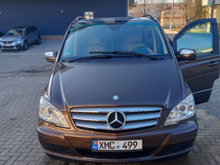 Mercedes Viano