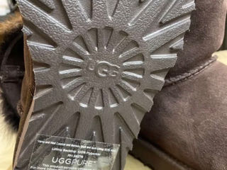 Угги оригинал Ugg W Valentina 1014448 W foto 5