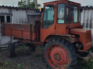 Tractor T16 фото 0