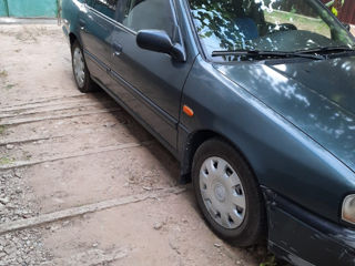 Nissan Primera foto 2