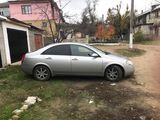 Nissan Primera foto 2