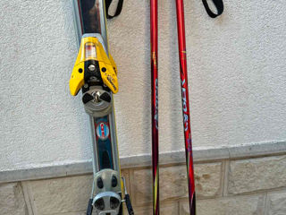 Volkl carver + Clapari + bete foto 3