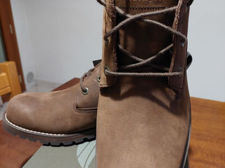 Timberland foto 2