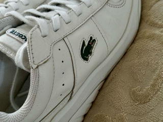 Кеды Lacoste foto 2