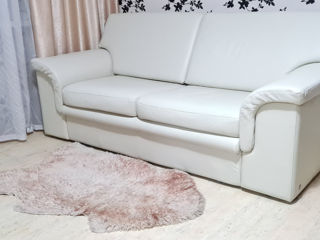 Canapea de piele naturala cu functie de dormit