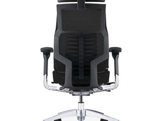 Scaun ortopedic Pofit-2 bionic - coloana vertebrala bionica foto 16